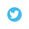 pngtree-twitter-social-media-icon-design-template-vector-png-image_3654784_edited.png
