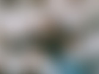 Cobra's Son, Naptown's Baby: 4200Kory