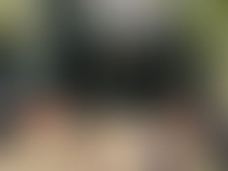 Discover the Best Pet-Friendly Cafes Tarporley Has to Offer