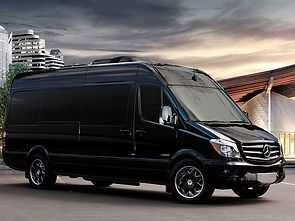 Sydney cruise ship mini bus