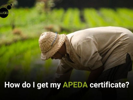 How do I get my APEDA certificate?