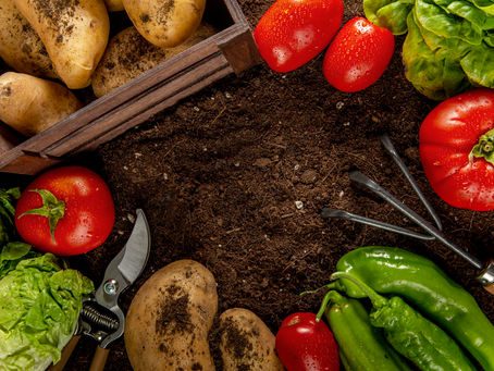 Challenges Faced by Agricultural Exporters Without APEDA Registration