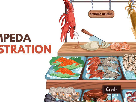 Common Mistakes to Avoid When Applying for MPEDA Registration