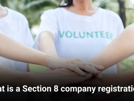 What is a Section 8 company registration?