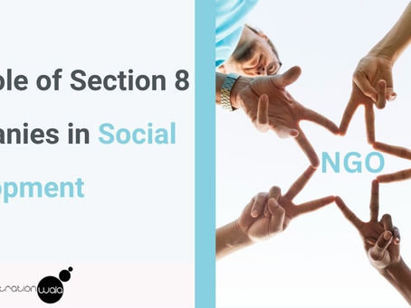 The Role of Section 8 Companies in Social Development