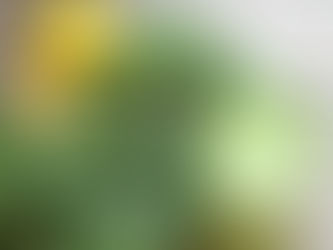 Professorens grønne grød