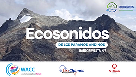 Ecosonidos - Radiorevista 003.png