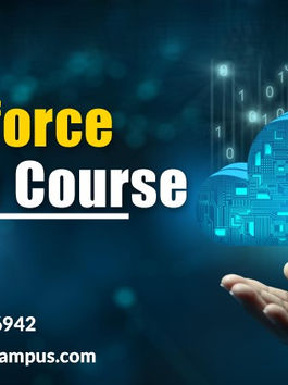 What is the Best Career in Salesforce?