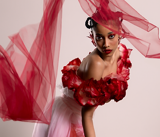 Website 2026 thumbnails -07.png