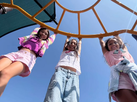 monkey bars.png