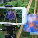 Gallery item thumbnail