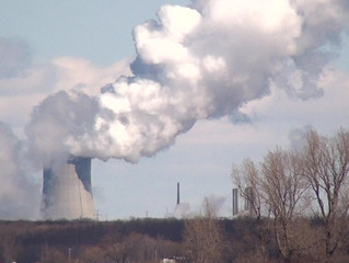 Do your bit to combat climate change (and save money)