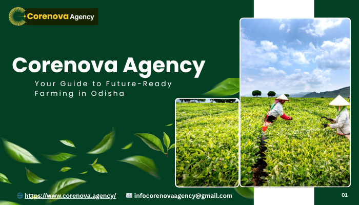 Corenova Agency supporting modern and organic farming in Odisha – farmers using drones, bio-fertilizers, and sustainable techniques for soil health and higher yields.