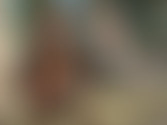 For Honor bringt ein Mid-Season Update mit einem Assassin’s Creed-Throwback-Event mit Helden-Skins von Naoe, Yasuke und Eivor und ist Teil des Steam Sale "Festival der Mittelalterspiele"