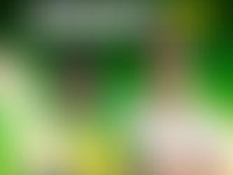 Cricket 22 ist ab sofort erhältlich