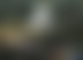 NACON gibt Zusammenarbeit mit Brave Lamb Studio zu "War Hospital" bekannt