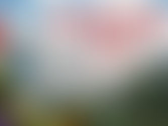 Unravel Two (NSW) im Test