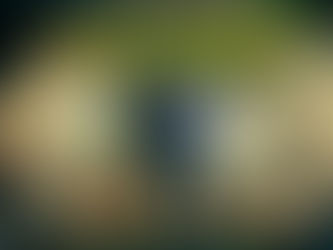 Encased (PC) im Test