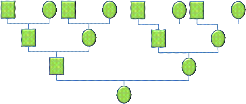 Family Tree Diagram.gif