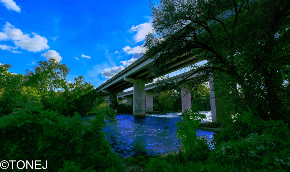 Views of A Dope Bridge
