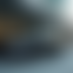 Divine Transportation Services in Windsor: Your Ultimate Corporate Travel Solutions