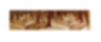 foret des tropiques2