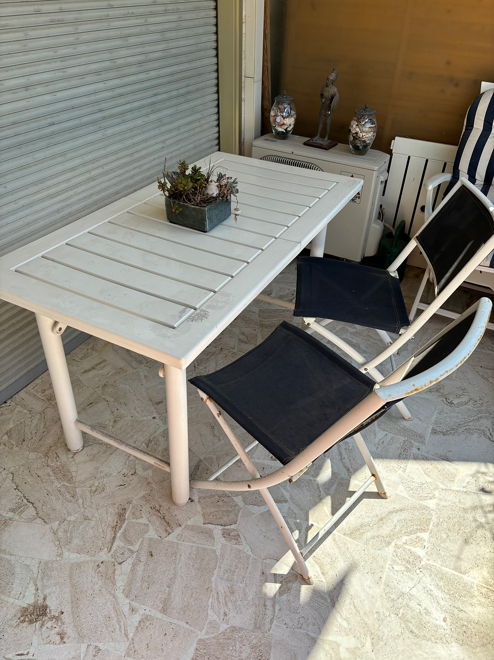 Thumbnail: Chaises de jardin x 2
