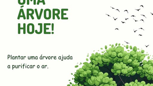Plantar árvores trás benefícios a saúde?