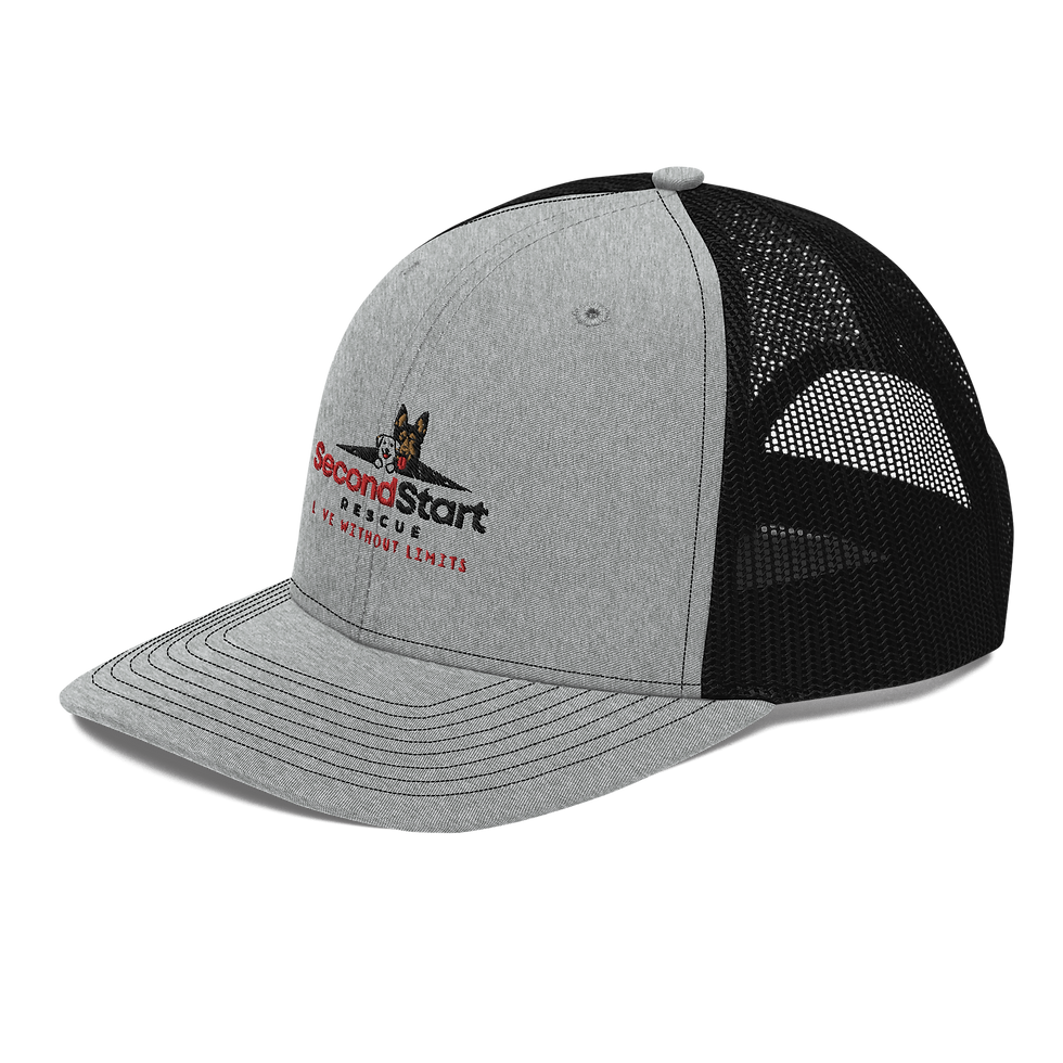 Thumbnail: Trucker Cap