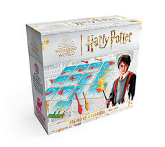 Treino de Quadribol - Harry Potter