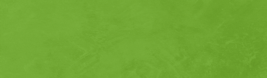 Banner Groot - Vroege vogel bowlen.gif