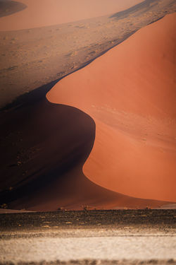 DSC05662-Enhanced-NR