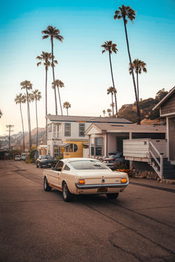 DSC06239-Edit-Edit-Edit