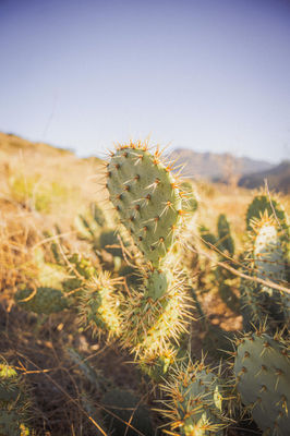 BryceWaySIGMA24-70-246