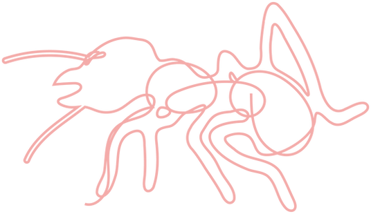 MaterialAuxiliar_Formigas-69_edited.png