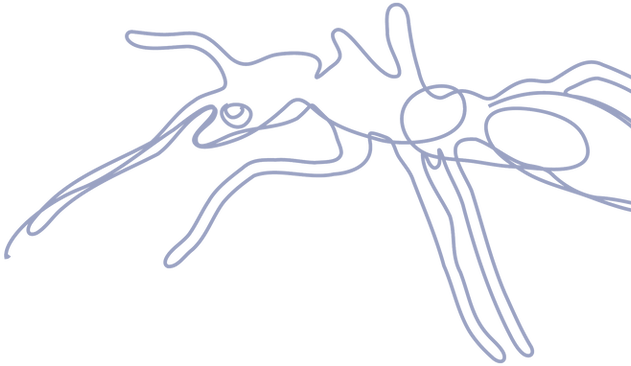 MaterialAuxiliar_Formigas-58_edited.png