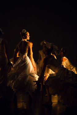 Queen Bee ~ The Ballet