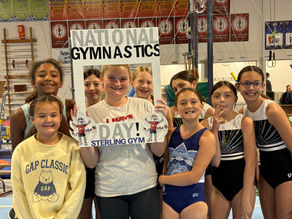 We LOVE Gymnastics! Celebrating National Gymnastics Day at Sterling Gym