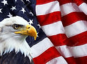depositphotos_62407167-stock-photo-north-american-bald-eagle-on.jpg