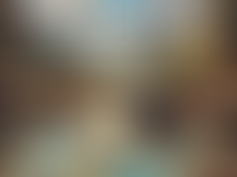 Capturing Memories: The Traveler's Lens