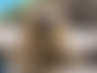 My amazing english post