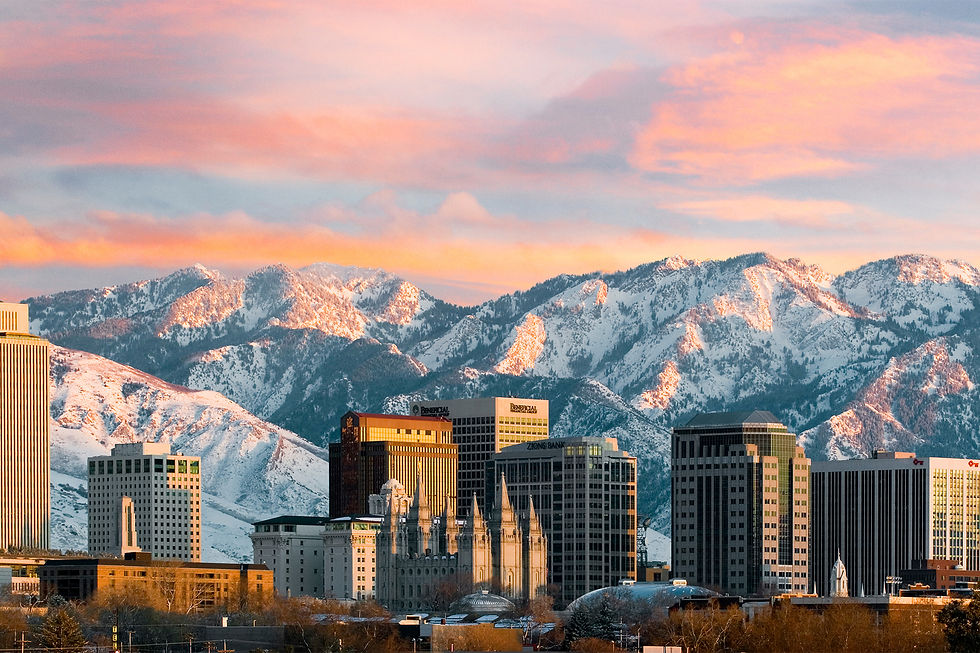 CIO/CISO Salt Lake Executive Dinner