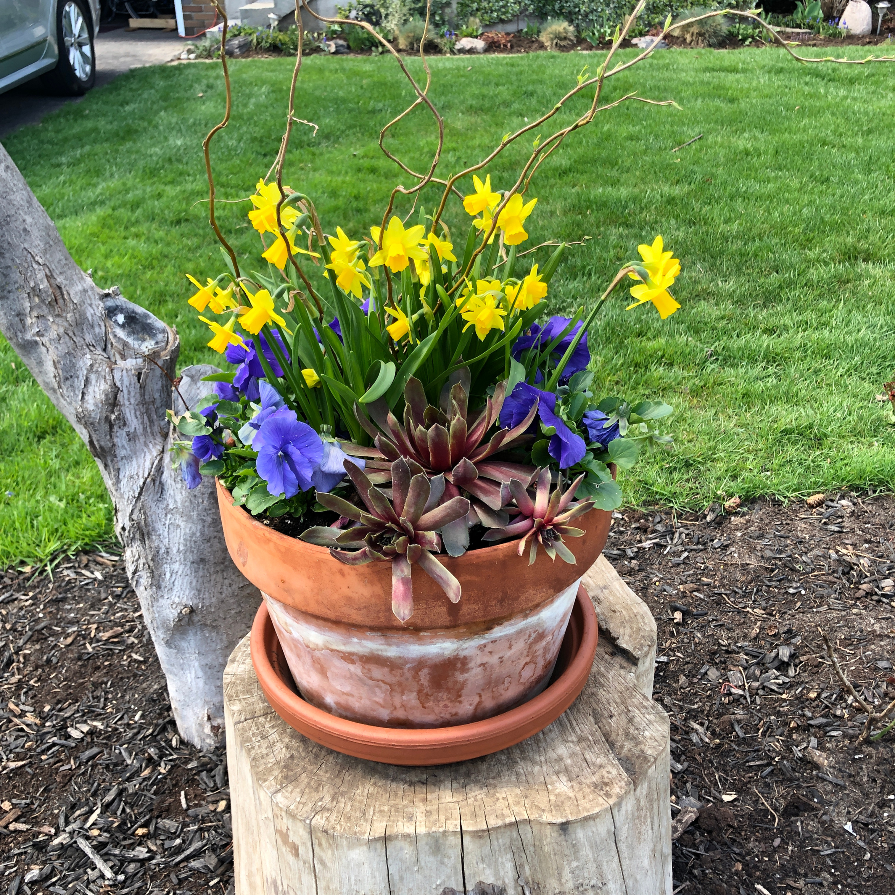 12-15" Spring Planter Insert