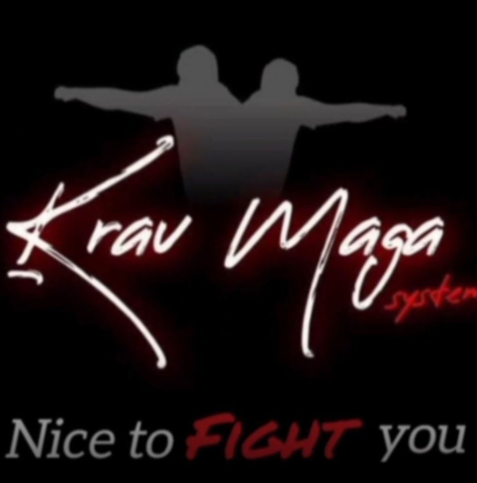 krav-fight.JPG