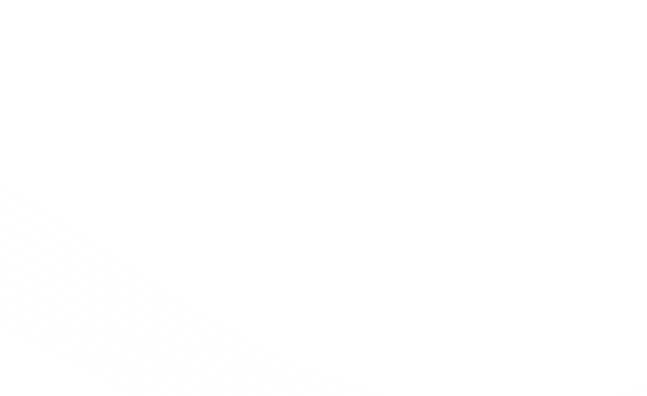 Dirisamer_Schwung-Lines_Web.png