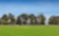 Clifton Park -bg.jpg