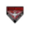 essendon baseball club.webp