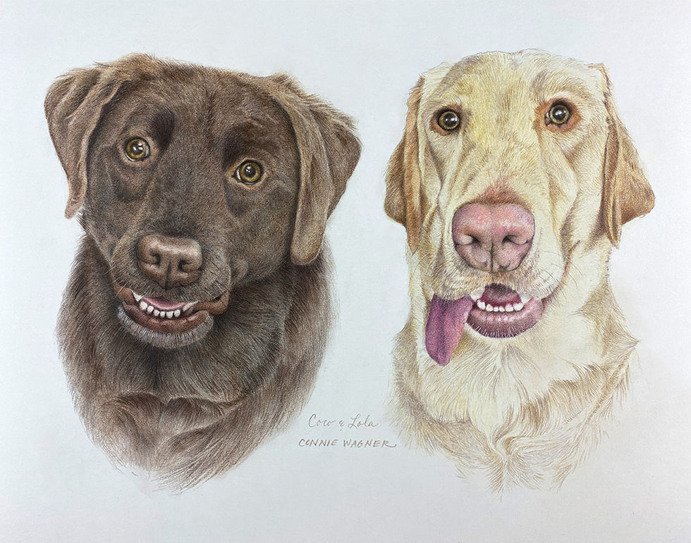 Colored pencil pet portrait of two Labrador Retrievers