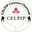 Writer: CELPIP Comma Group
