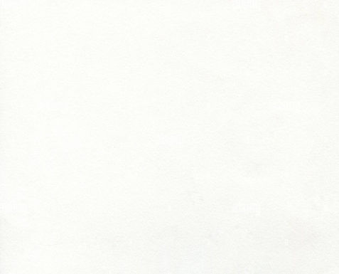 white-paper-texture-no-dust-art-paper-background-hi-res-2B9YRKP_edited.jpg